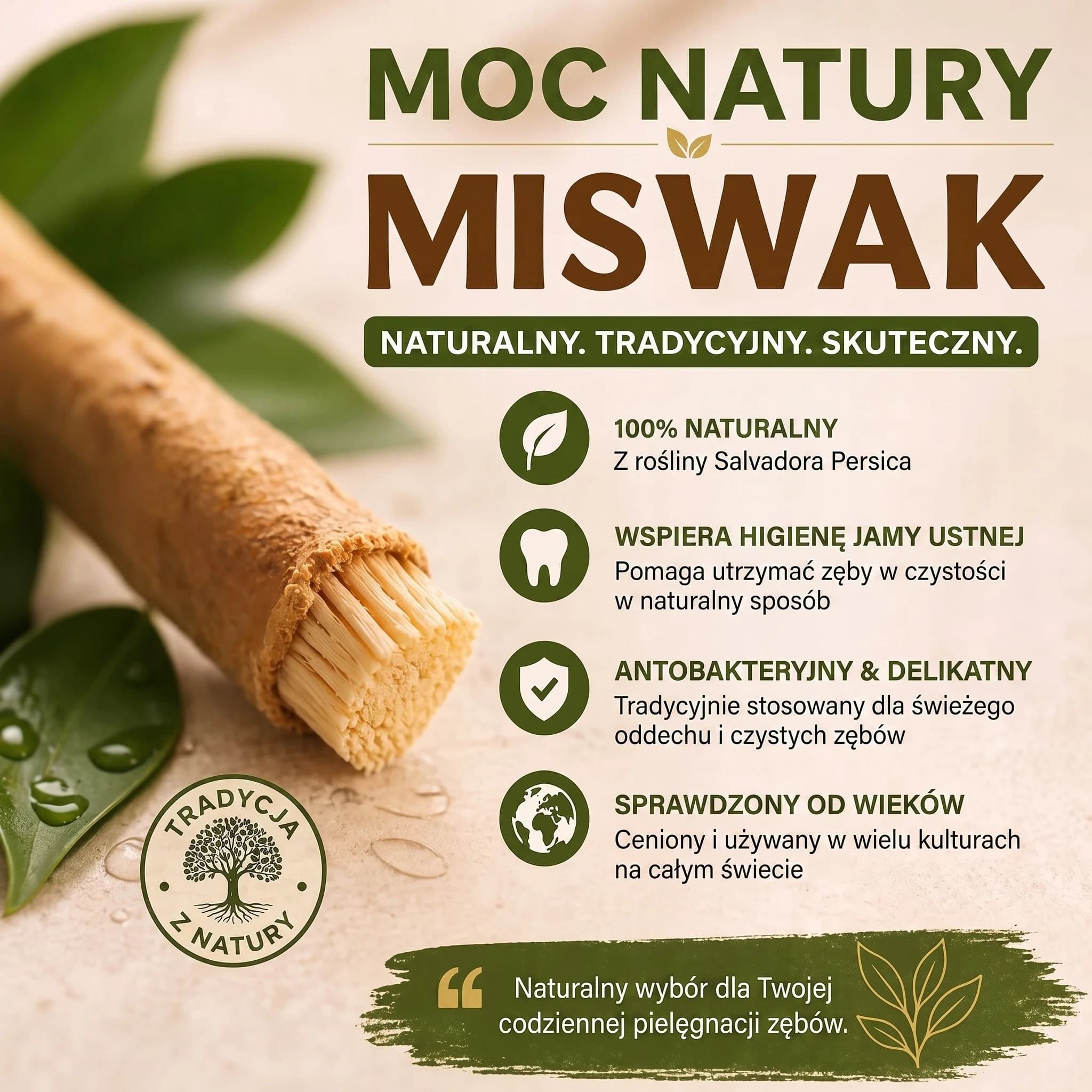 Miswak — naturalna szczoteczka do zębów