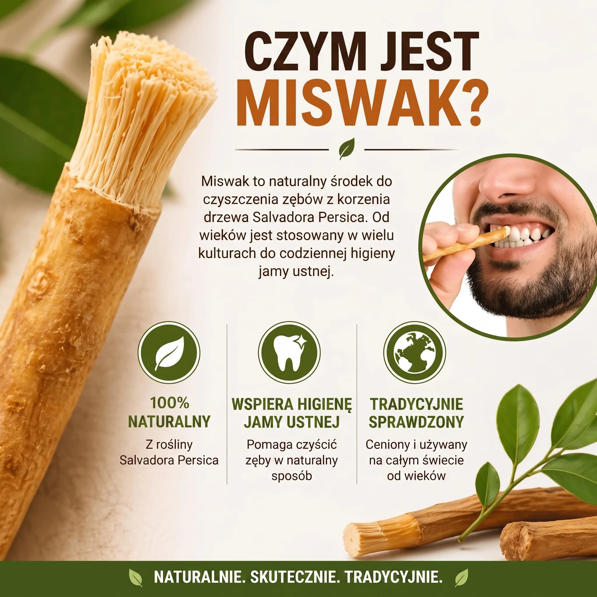 Miswak naturalna szczoteczka — zestaw 10 sztuk