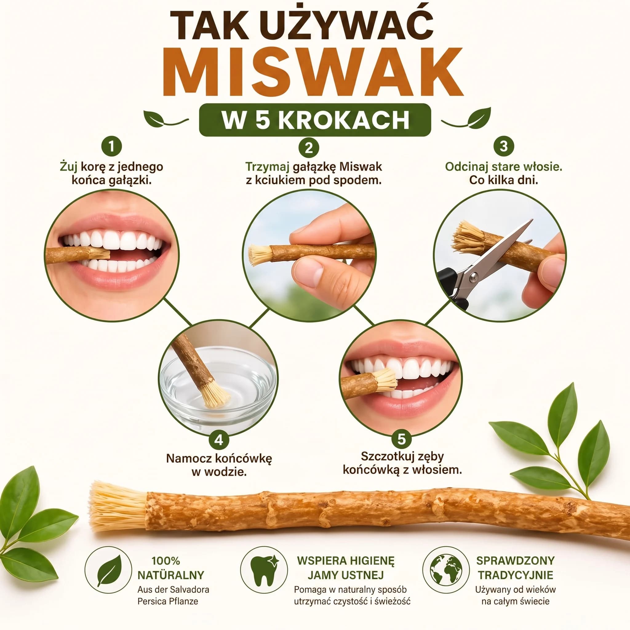 Instrukcja przygotowania i używania Miswaka