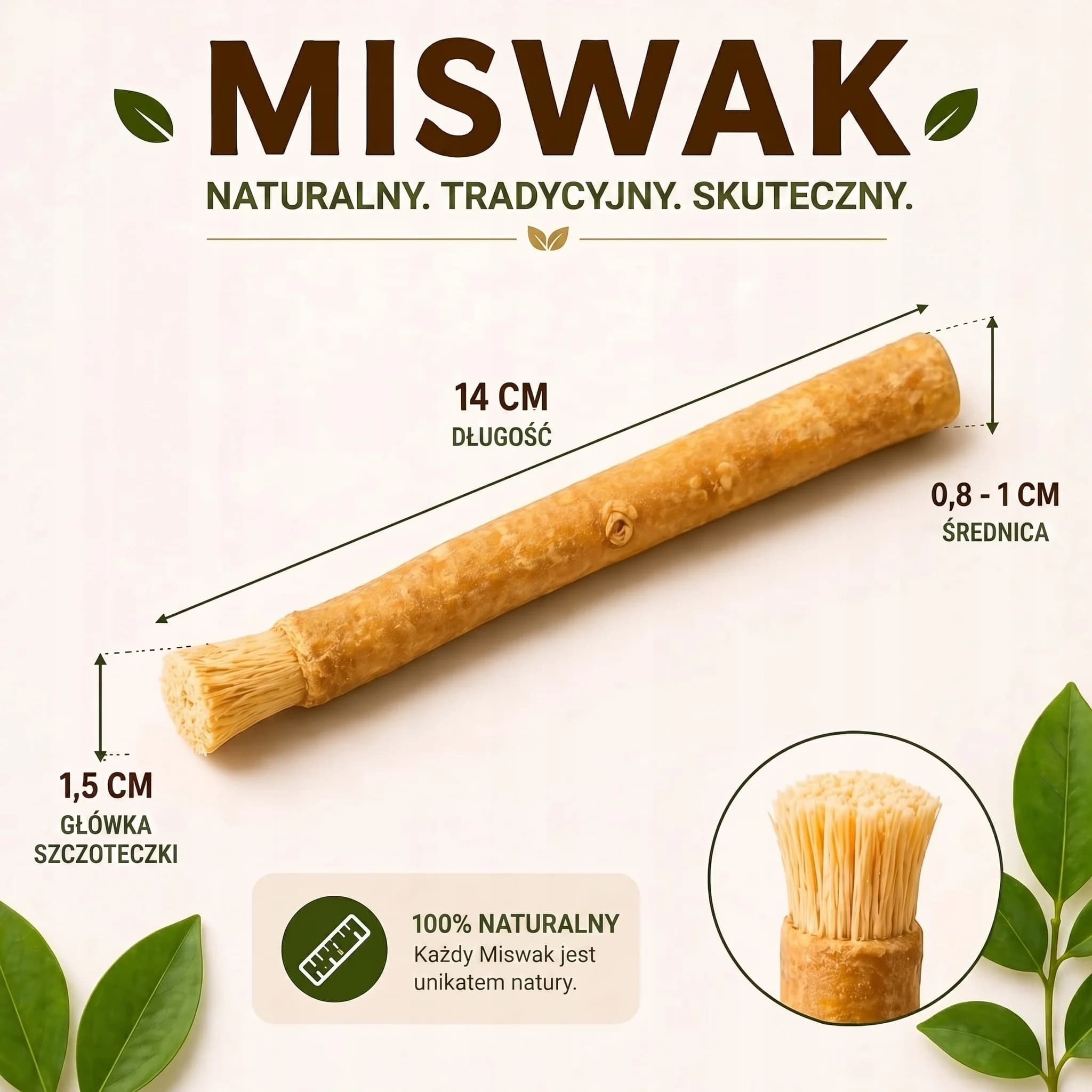 Wymiary pojedynczej szczoteczki Miswak